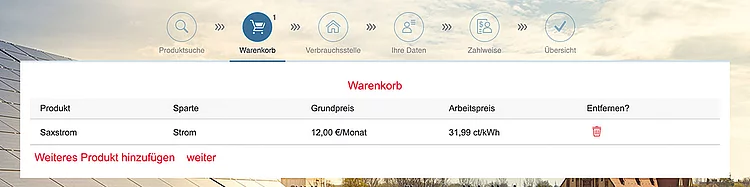 Screenshot Bestellstrecke zum Punkt Warenkorb